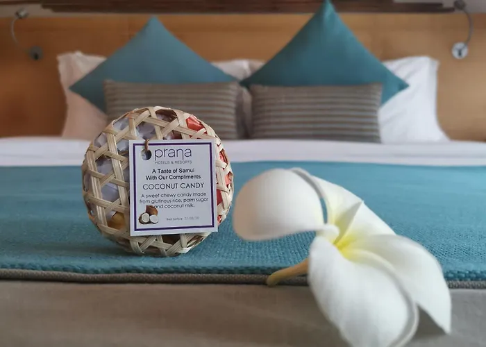 Prana Resort Nandana